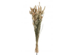 Sušená dekorativní květina Bundle Plume - 16*16*84 cm