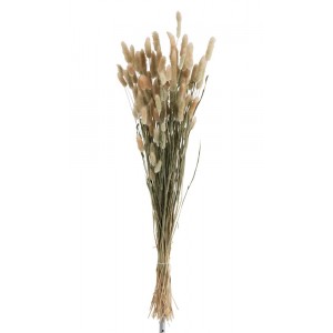 Sušená dekorativní květina Bundle Plume - 16*16*84 cm