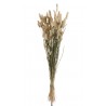 Sušená dekorativní květina Bundle Plume - 16*16*84 cm Barva: přírodníMateriál: přírodní