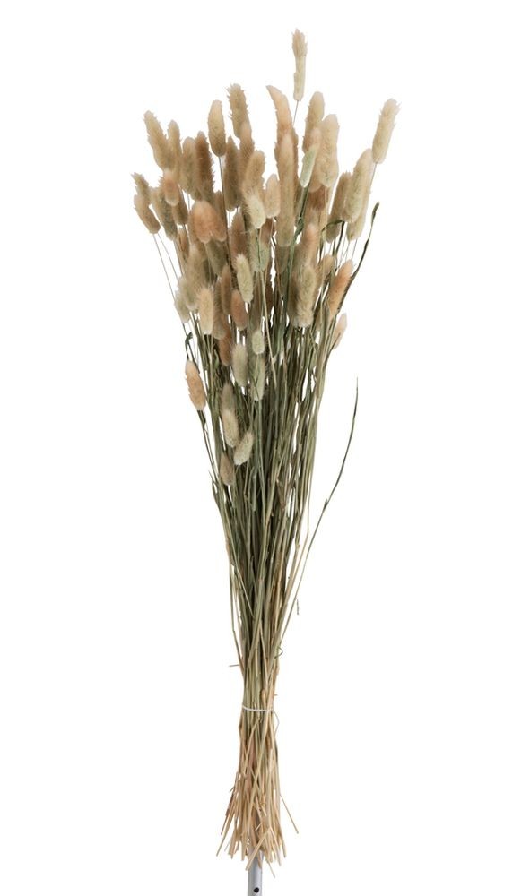 Sušená dekorativní květina Bundle Plume - 16*16*84 cm J-Line by Jolipa