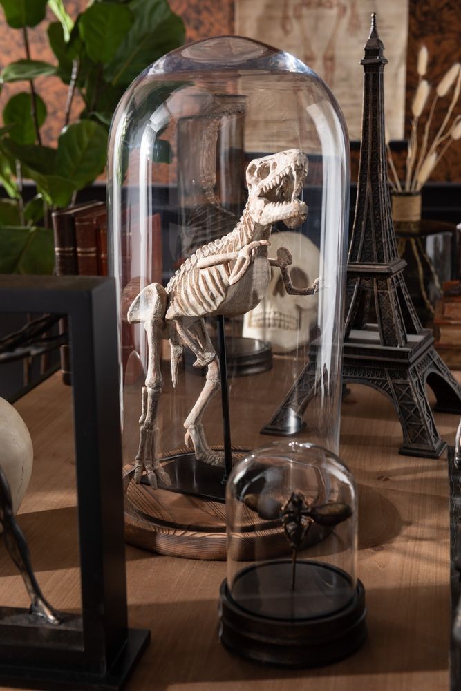 Hnědý dřevěný podnos se skleněným poklopem Bell Jar - Ø 33*60 cm