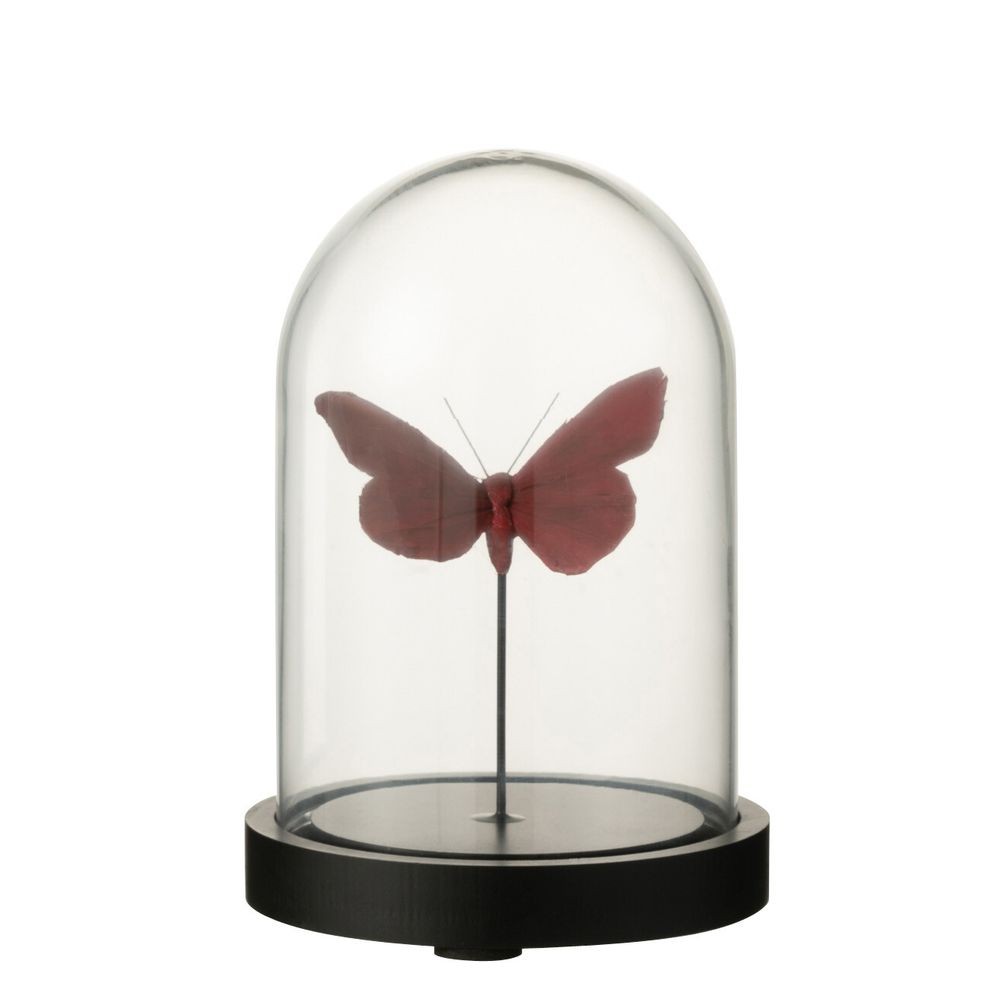 Dekorativní podnos s vínovým motýlkem a skleněným poklopem Butterflies - Ø 11*16cm J-Line by Jolipa