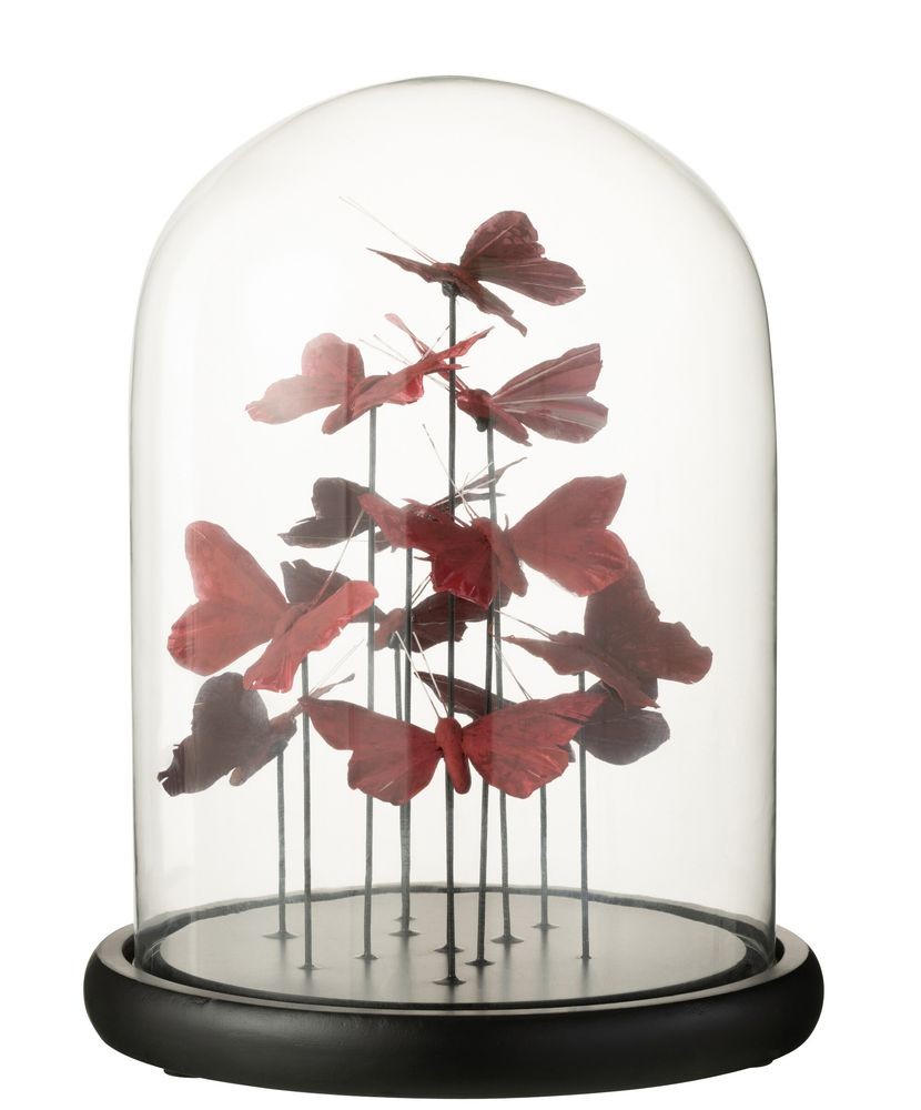 Dekorativní podnos s vínovými motýlky a skleněným poklopem Butterflies - Ø 23*29cm J-Line by Jolipa