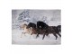 Zimní plyšový pléd s koňmi Horses - 130*170 cm