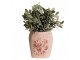 Růžový keramický obal na květináč s růžemi Rósa M - 14*14*16cm