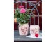 Růžový keramický obal na květináč s růžemi Rósa M - 14*14*16cm
