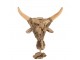 Dřevěná dekorace hlava býka na noze Bull Head - 41*15*59cm