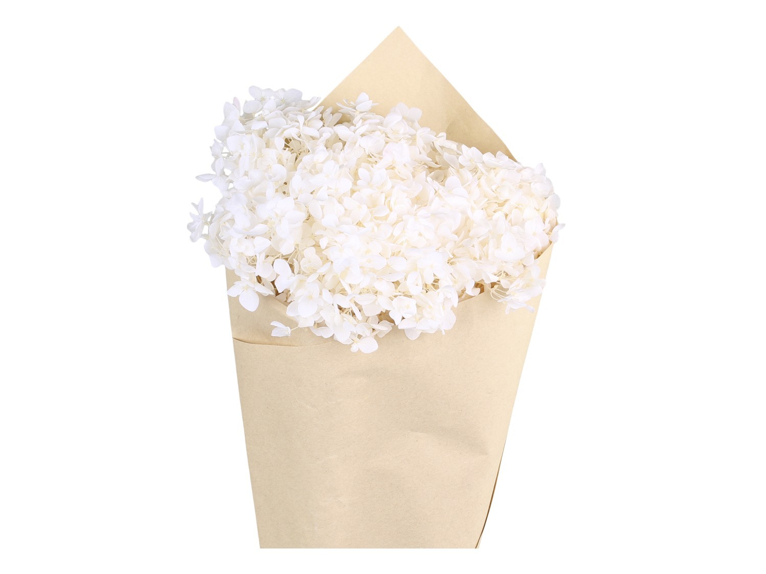 Bílá dekorace sušená květina hortenzie Hydrangea Flower - 60 cm