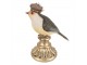 Dekorace socha ptáček s čapkou na podstavci - 8*13*17 cm