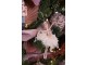 Závěsná dekorace Ballerina v peříčkové sukni - 11*2*15 cm