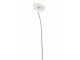 Bílá umělá dekorativní květina Gerbera - 10*10*64 cm