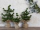 Zelený vánoční cedrový stromek v jutě Fleur Cedar Tree - 34 cm