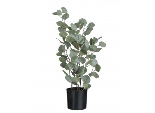 Dekorace Eucalyptus v květináči - Ø14*60 cm