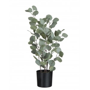 Dekorace Eucalyptus v květináči - Ø14*60 cm