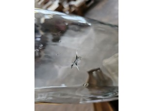 Vysoká skleněná transparentní váza Noah L - Ø 18*120 cm 