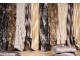 Béžovo-hnědý chlupatý pléd v designu kolouška - 130*180*2cm