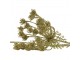 Zlatá dekorativní květina Bolševník gold champagne - 17*13* 85 cm
