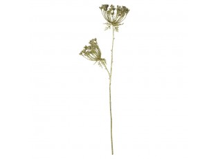 Zlatá dekorativní květina Bolševník gold champagne - 17*13* 85 cm