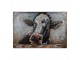 3D černo-bílý kovový obraz kráva Iron Cow - 90*5*60 cm
