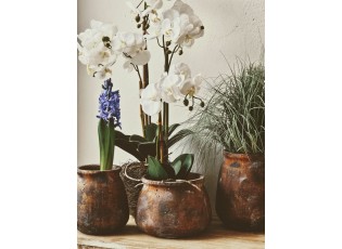Dekorace umělá květina Orchidej s kořeny a mechem - 23*17*40 cm