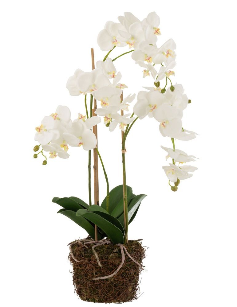 Levně Dekorace umělá květina Orchidej s kořeny a mechem - 32*32*75 cm 12488