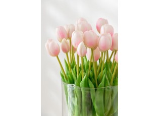 Kytice 7ks světle růžových realistických tulipánů Tulips - 45cm