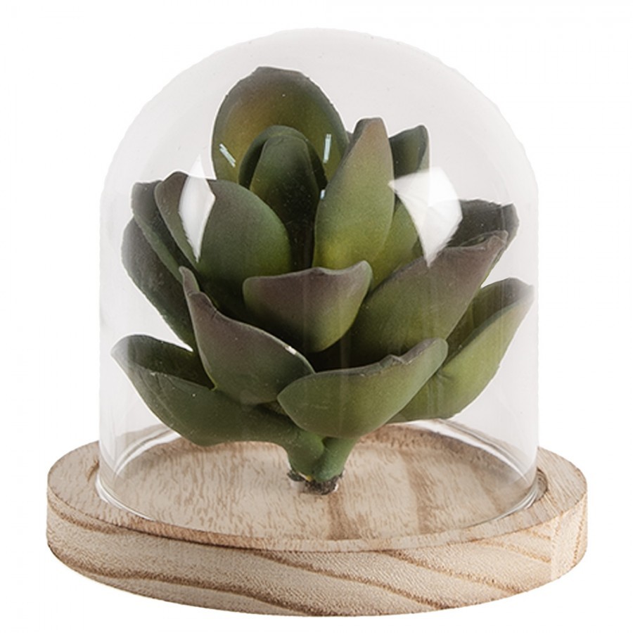 Přírodní dřevěný podnos se skleněným poklopem - Ø 13*11 cm 