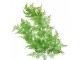Zelená umělá převislá květina kapradí - 10*5*80 cm Clayre & Eef