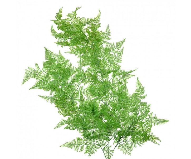 Zelená umělá převislá květina kapradí - 10*5*80 cm Clayre & Eef