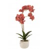 Dekorace umělá květina Orchidej s květináčem - 32*32*57 cm Materiál: plastic Barva: zelená, bordó, šedá