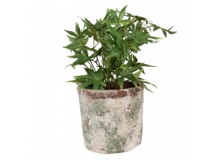 Dekorativní béžovo-zelený antik terakotový květináč Teracci - Ø 18*16 cm