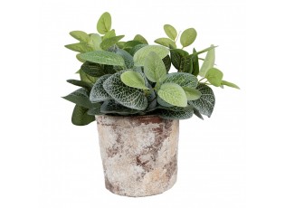 Dekorativní béžovo-zelený antik terakotový květináč Teracci - Ø 18*15 cm
