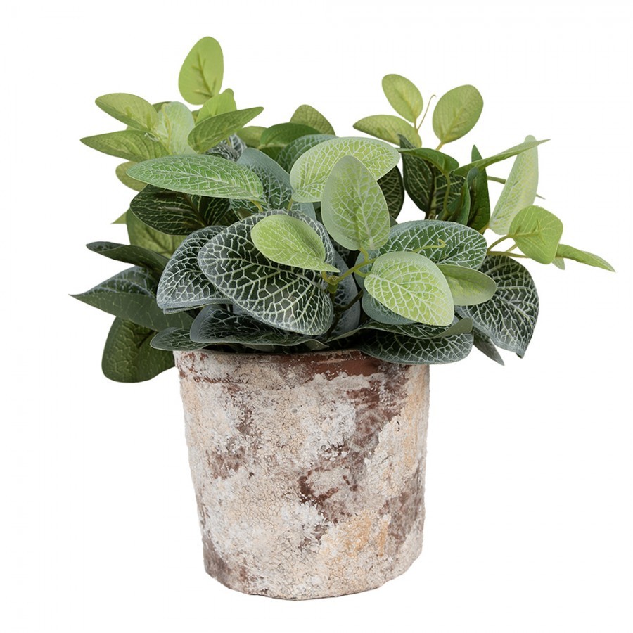Dekorativní béžovo-zelený antik terakotový květináč Teracci - Ø 18*15 cm
