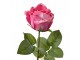 Artificial Flower Rose 44 Cm Pink Plastic - 8*8*44 cm Clayre & Eef