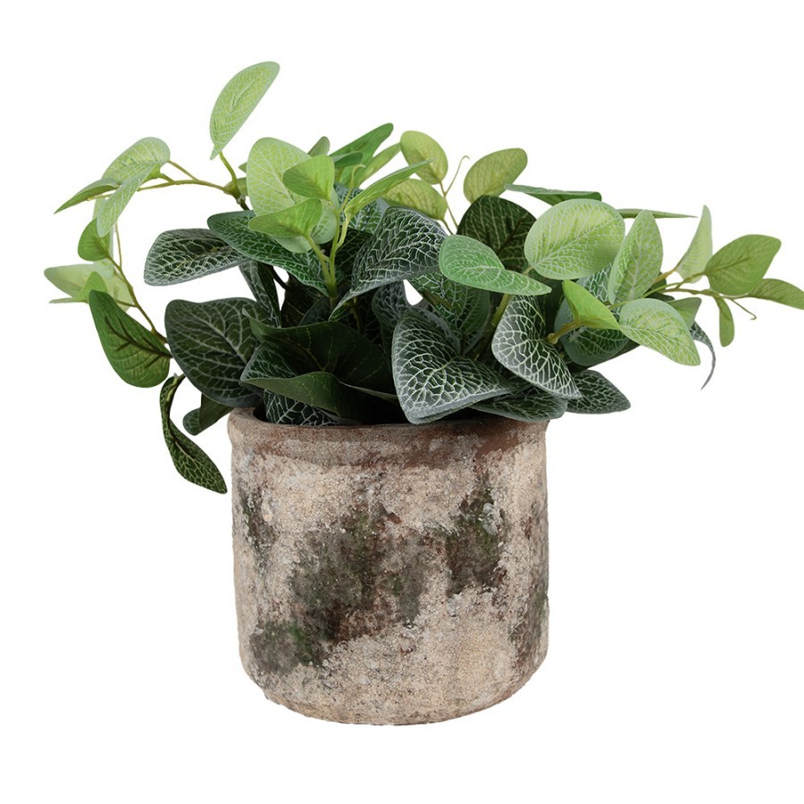 Dekorativní béžovo-zelený antik terakotový květináč Teracci M - Ø 14*12 cm