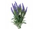 Artificial Flower 36 Cm Purple Plastic Artificial Plant - 8*8*36 cm Clayre & Eef