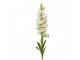 Artificial Flower 95 Cm White Plastic Artificial Plant - 10*7*95 cm Clayre & Eef