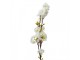 Artificial Flower 92 Cm White Plastic Artificial Plant - 10*8*92 cm Clayre & Eef
