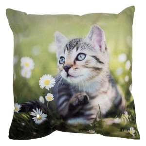 Zelený povlak na polštář s koťátkem na louce - 45*45 cm
