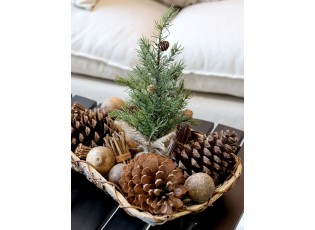 Zelený vánoční borovicový stromek v jutě Fleur Pine Tree - 30 cm