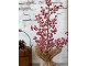 Vánoční stromek červené bobule v jutě Fleur Tree - 50 cm