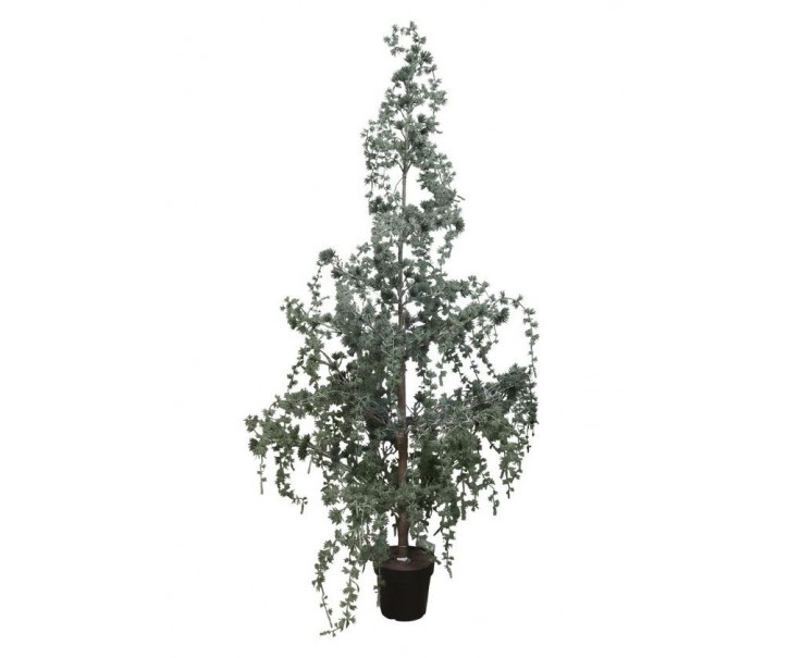 Zelený vánoční borovicový stromek v květináči se světýlky Pine Tree - 150 cm