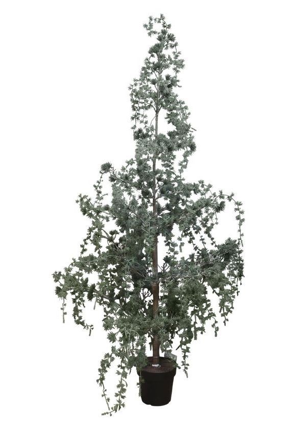 Produktové foto Zelený vánoční borovicový stromek v květináči se světýlky Pine Tree - 150 cm 39100100