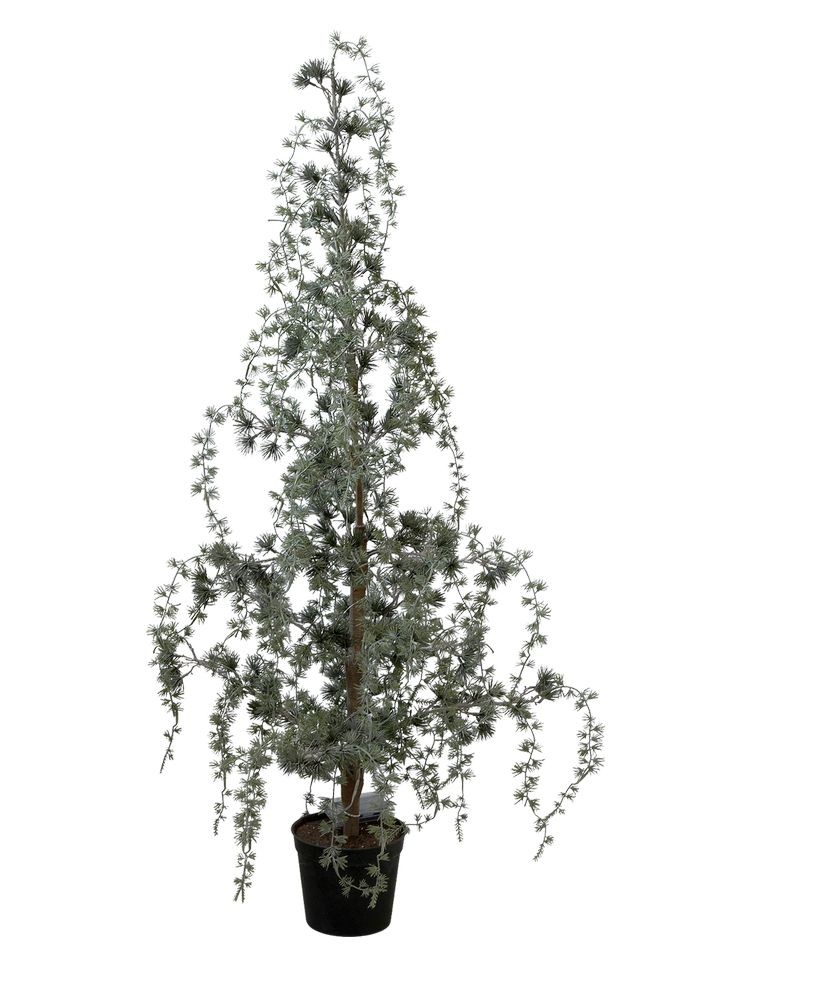 Produktové foto Zelený vánoční borovicový stromek v květináči se světýlky Pine Tree - 120 cm 39100000