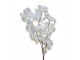 Artificial Flower 95 Cm White Plastic - Clayre & Eef