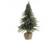 Zeleno-zlatý vánoční borovicový stromek v jutě Fleur Pine Tree - 20 cm