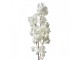 Artificial Flower 100 Cm White Plastic - 24*8*100 cm Clayre & Eef