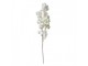 Artificial Flower 100 Cm White Plastic - 24*8*100 cm Clayre & Eef