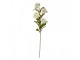 Artificial Flower 70 Cm White Plastic - 17*14*70 cm Clayre & Eef