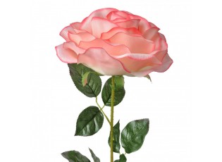Artificial Flower Rose 75 Cm Pink Plastic - 19*19*75 cm